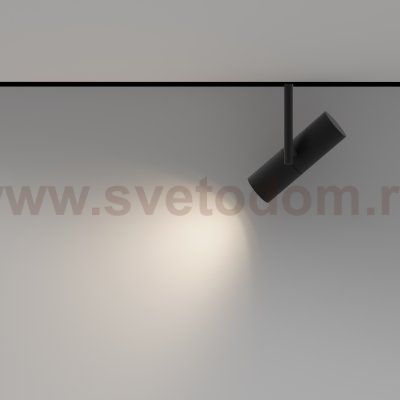 Трековый светильник Maytoni TR005-2-12W3K-B Elti