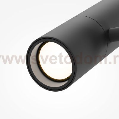 Трековый светильник Maytoni TR005-2-12W3K-B Elti