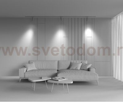 Трековый светильник Maytoni TR005-2-12W4K-BBS Elti