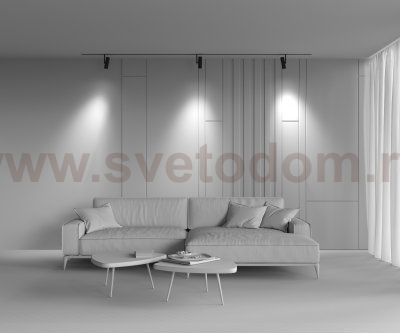 Трековый светильник Maytoni TR005-2-12W4K-B Elti