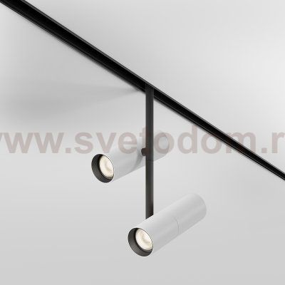Трековый светильник Maytoni TR005-2-2X12W3K-BW Elti Duo