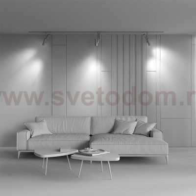 Трековый светильник Maytoni TR005-4-2X12W-DS-BW Elti Duo