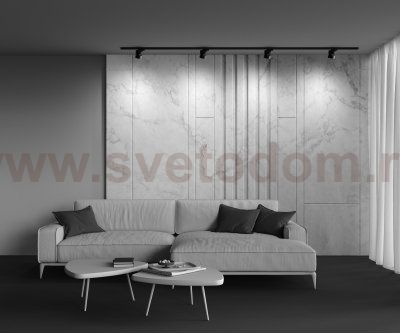 Трековый светильник Maytoni TR007-1-12W3K-B ONDA