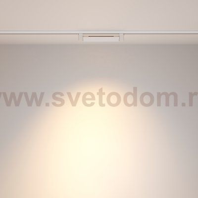Трековый светильник Maytoni TR010-1-10W3K-M-W Points Rot