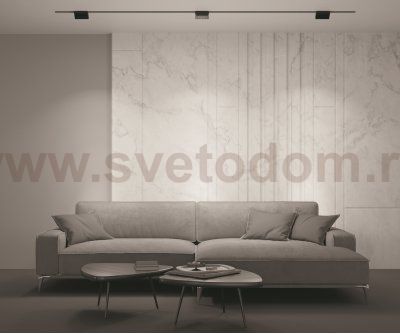 Трековый светильник Maytoni TR013-2-10W3K-B BASIS