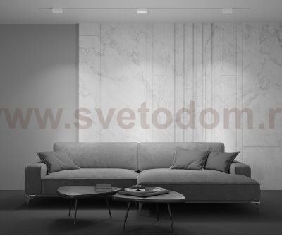 Трековый светильник Maytoni TR013-2-10W3K-W BASIS