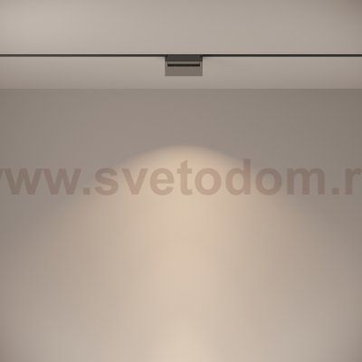 Трековый светильник Maytoni TR013-2-10W4K-B BASIS