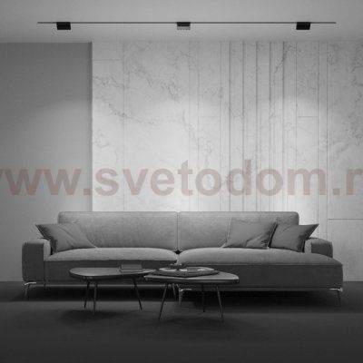 Трековый светильник Maytoni TR013-2-10W4K-B BASIS