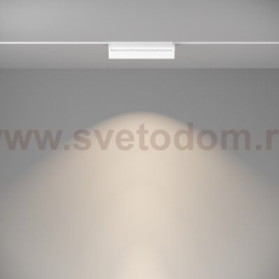 Трековый светильник Maytoni TR013-2-20W4K-W BASIS