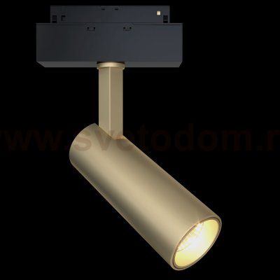 Трековый светильник Maytoni TR019-2-10W3K-MG Focus LED 