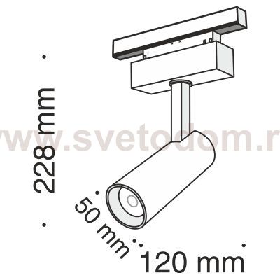 Трековый светильник Maytoni TR019-2-10W4K-B