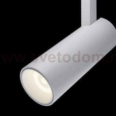 Трековый светильник Maytoni TR019-2-10W4K-W Focus LED 