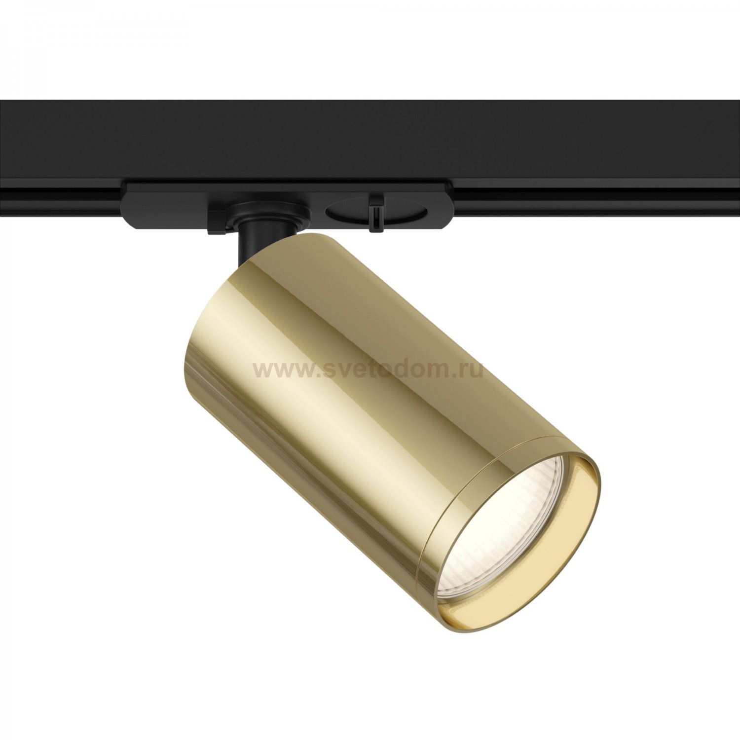 Трековый светильник Maytoni TR020-1-GU10-BG Focus S