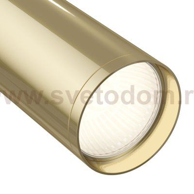 Трековый светильник Maytoni TR020-1-GU10-BG Focus S