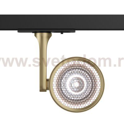 Трековый светильник Maytoni TR024-1-10MG4K Oko