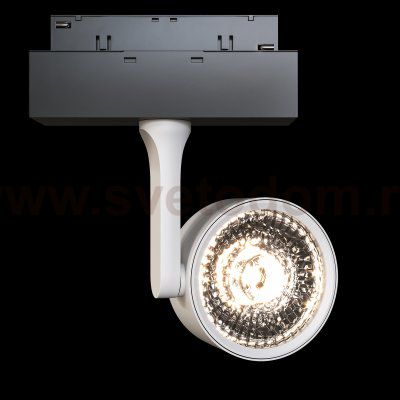 Трековый светильник Maytoni TR024-2-10W3K Oko