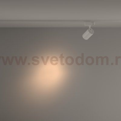 Трековый светильник Maytoni TR029-3-10W3K-S-W Vuoro