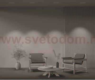 Трековый светильник Maytoni TR031-2-12W3K-B Points