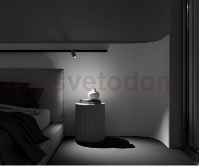 Трековый светильник Maytoni TR032-2-12W2.7K-M-B Focus LED