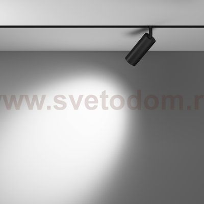 Трековый светильник Maytoni TR032-2-12W4K-M-B Focus LED