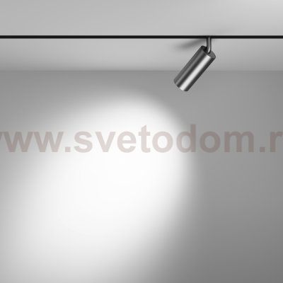 Трековый светильник Maytoni TR032-2-12W4K-S-MG Focus LED