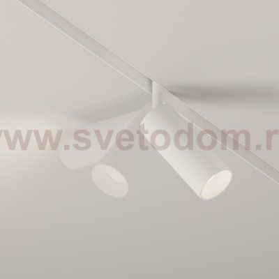 Трековый светильник Maytoni TR032-2-12W4K-S-W Focus LED