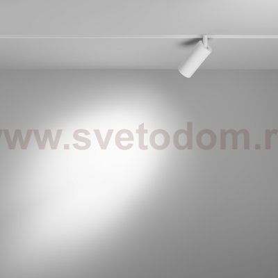 Трековый светильник Maytoni TR032-2-5W4K-S-W Focus LED