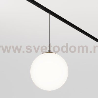 Трековый подвесной светильник Maytoni TR039-4-5W3K-WW-DS Luna