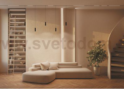 Трековый подвесной светильник Maytoni TR041-2-12W3K-B Focus LED