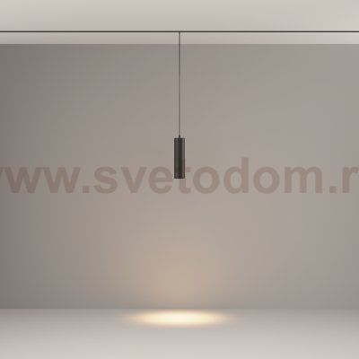 Трековый подвесной светильник Maytoni TR041-2-12W3K-B Focus LED