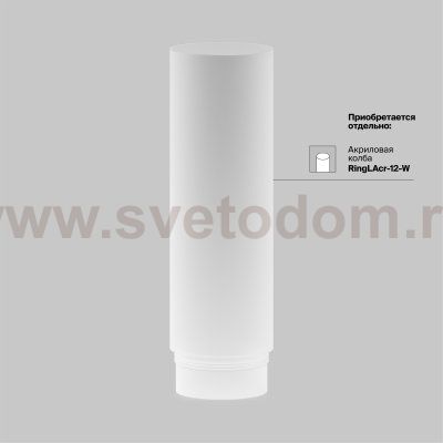 Трековый подвесной светильник Maytoni TR041-2-12W4K-B Focus LED