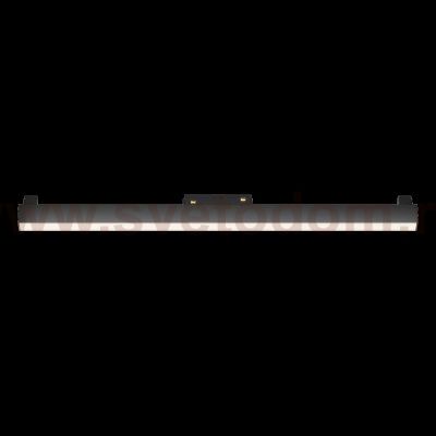 Трековый светильник Maytoni TR074-2-20W3K-B Basis