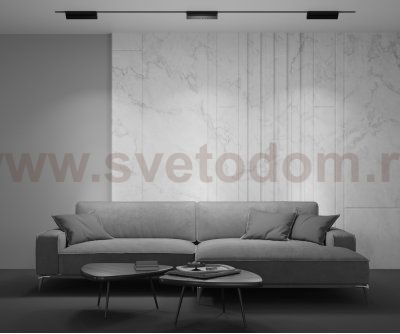 Трековый светильник Maytoni TR075-2-20W3K-B Basis Rot