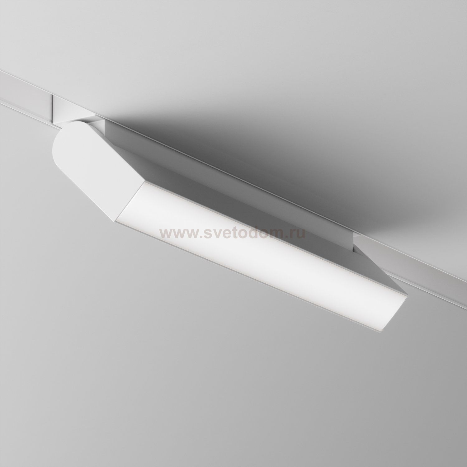 Трековый светильник Maytoni TR075-2-20W4K-W Basis Rot