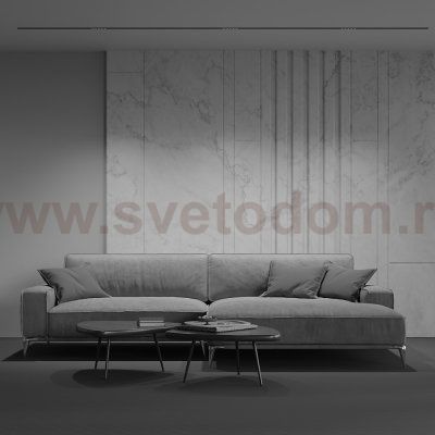 Трековый светильник Maytoni TR076-2-10W3K-B Points 