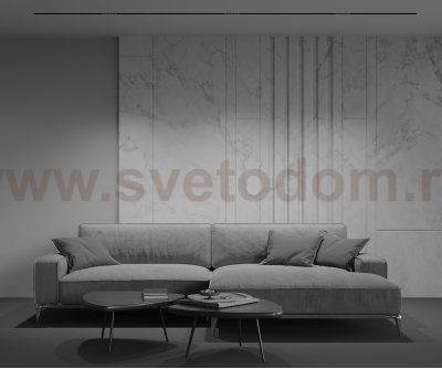 Трековый светильник Maytoni TR076-2-10W3K-B Points 