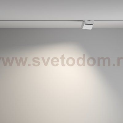 Трековый светильник Maytoni TR077-2-10W4K-W Points Rot