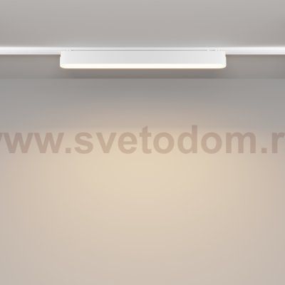 Трековый светильник Maytoni TR080-1-18W3K-W Basis