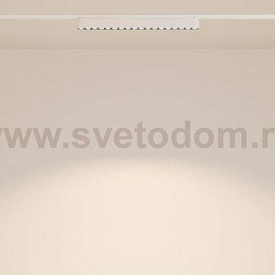 Трековый светильник Maytoni TR082-1-18W3K-M-W Points