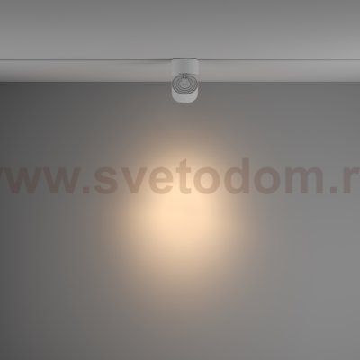 Трековый светильник Maytoni TR084-1-15W3K-D-W Yin
