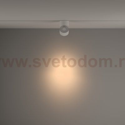 Трековый светильник Maytoni TR084-1-15W3K-W Yin