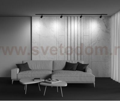 Трековый светильник Maytoni TR088-1-GX53-B Polar