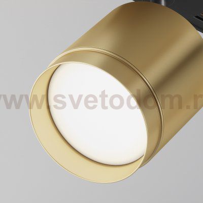 Трековый светильник Maytoni TR088-1-GX53-MG Polar