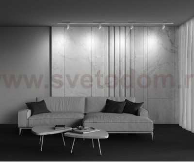 Трековый светильник Maytoni TR088-1-GX53-W Polar