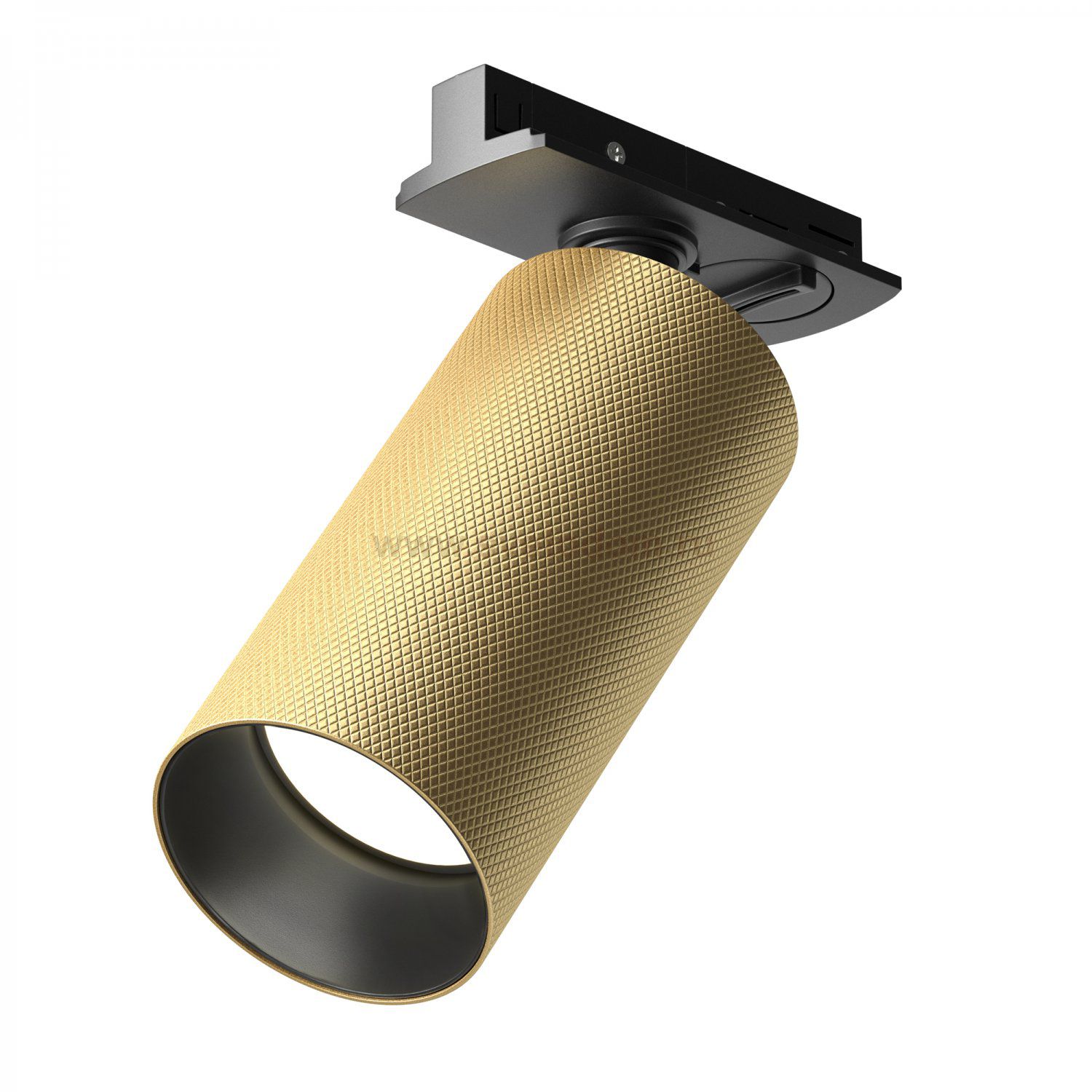 Трековый светильник Maytoni TR089-1-GU10-BMG Artisan