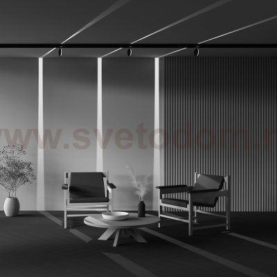 Трековый светильник Maytoni TR090-2-6W3K-B Outline