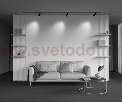 Трековый светильник Maytoni TR097-2-12W3K-M-BB Artisan