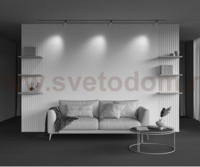 Трековый светильник Maytoni TR097-2-12W3K-M-BW Artisan