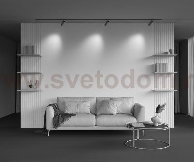 Трековый светильник Maytoni TR097-2-12W4K-M-BMG Artisan