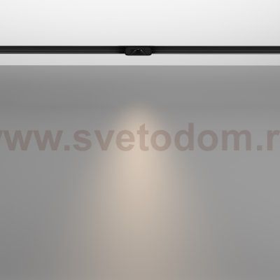 Трековый светильник Maytoni TR100-2-2W4K-S-B Points S